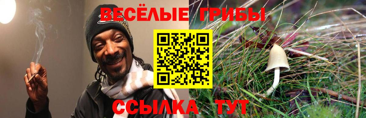 Псилоцибиновые грибы прущие грибы Архангельск